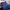 Beanpole Vintage Casual Harrington jacket Pria navy photo 4