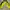 Yonex Vintage Streetwear Windbreaker Pria black yellow photo 2