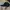 Vintage Y2K Hat Pria black photo 2