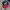 Disney Vintage Y2K Hat Pria navy red photo 1