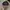 Vintage Streetwear Hat Pria Multicolor