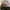 Nike Streetwear Sportswear Sneakers Wanita multicolor pink photo 3