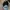 MLB Vintage Streetwear Hat Pria black photo 4