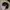 Vintage Y2K Hat Pria black photo 3