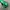 Off-White Streetwear Y2K Sunglass Pria green brown photo 3