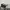 Off-White Streetwear Y2K Sunglass Pria green brown photo 1