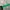 Off-White Streetwear Y2K Sunglass Pria green brown photo 4