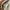 National Geographic Vintage Bag Pria khaki cream photo 8