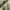 National Geographic Vintage Bag Pria khaki cream photo 5