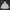 Casual Windbreaker Wanita white photo 1