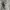 Under Armour Streetwear Y2K Hat Wanita tan gray photo 5