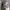 Under Armour Streetwear Y2K Hat Wanita tan gray photo 1