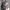 Under Armour Streetwear Y2K Hat Wanita Tan Gray
