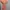 Luxury Minimalist Maxi dress Wanita pink photo 4