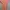 Luxury Minimalist Maxi Dress Wanita Pink