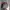Realtree Y2K Sportswear Hat Pria tan gray photo 1