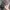 Realtree Y2K Sportswear Hat Pria tan gray photo 4