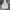 Nike Streetwear Sportswear Hoody Pria white photo 1