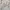 Nike Streetwear Sportswear Hoody Pria white photo 4