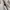 Nike Streetwear Sportswear Hoody Pria white photo 5
