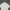 Polo Ralph Lauren Casual Casual shirt Pria white photo 5