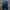 Dickies Casual Pea coat Pria green photo 4