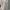Casual Maxi dress Wanita white tan photo 4