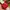 OMEGA Sportswear Casual Pria white red photo 5
