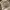 Biker Casual Boots Pria tan brown photo 8