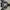 Burberry Streetwear Bomber Jacket Pria Black