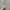 Nike Streetwear Sportswear Hoody Pria gray photo 7