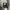 Nike Streetwear Sportswear Hoody Pria gray photo 4