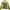 Ellesse Sportswear Casual Track jacket Pria green yellow photo 2