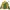 Ellesse Sportswear Casual Track jacket Pria green yellow photo 1