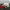 FUBU Casual Hat Pria white red photo 2