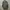Nike Streetwear Indie Bag Pria gray photo 1