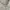 Streetwear Casual canvas jacket white cream photo 2