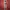 The North Face Gorpcore Sportswear Windbreaker Pria red photo 5