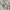 Vintage T-shirt Pria gray photo 6