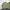 Giordano Casual Sweater Pria green photo 1