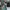 Bamboo Blonde Luxury Casual Midi dress Wanita green photo 1
