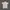 Avant Garde Sweatshirt Wanita tan photo 1