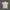 Avant Garde Sweatshirt Wanita Tan