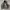 Vintage Y2K Hoody Pria gray photo 1
