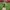 H&M Casual Crop top Wanita green photo 2