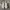 Adidas Casual Sneakers Pria white photo 5