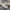 Adidas Casual Sneakers Pria white photo 4