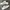 Adidas Casual Sneakers Pria white photo 2