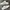 Adidas Casual Sneakers Pria White