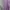 Onitsuka Tiger Streetwear Casual Sweatshirt Wanita purple gray photo 2